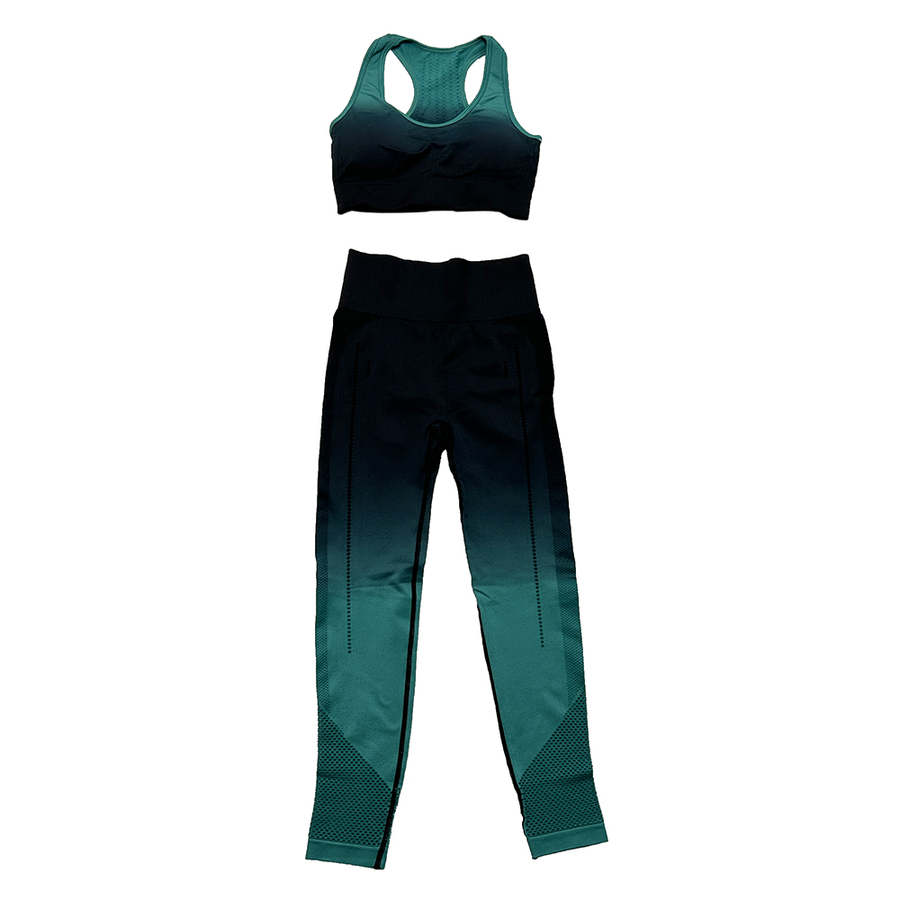 Dip Dye Mesh Bra Top & Mesh Legging Set